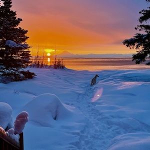 Meet your Posher, Alexa